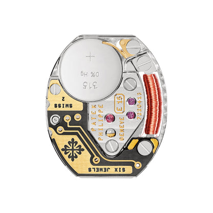 Patek Philippe Twenty~4 Watch