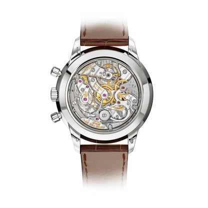 Patek Philippe Complications Watch