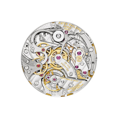 Patek Philippe Complications Watch
