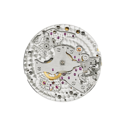 Patek Philippe Complications Watch