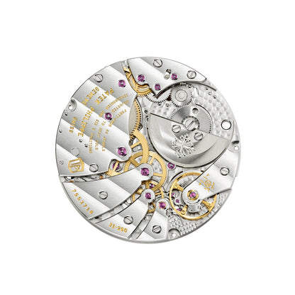 Patek Philippe Complications Watch