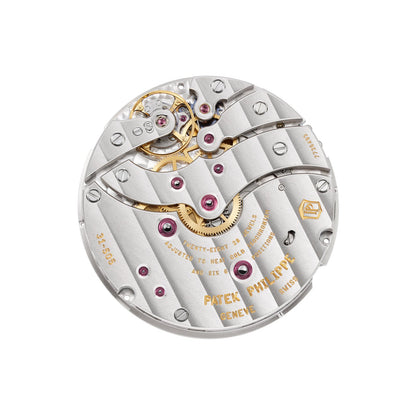 Patek Philippe Complications Watch