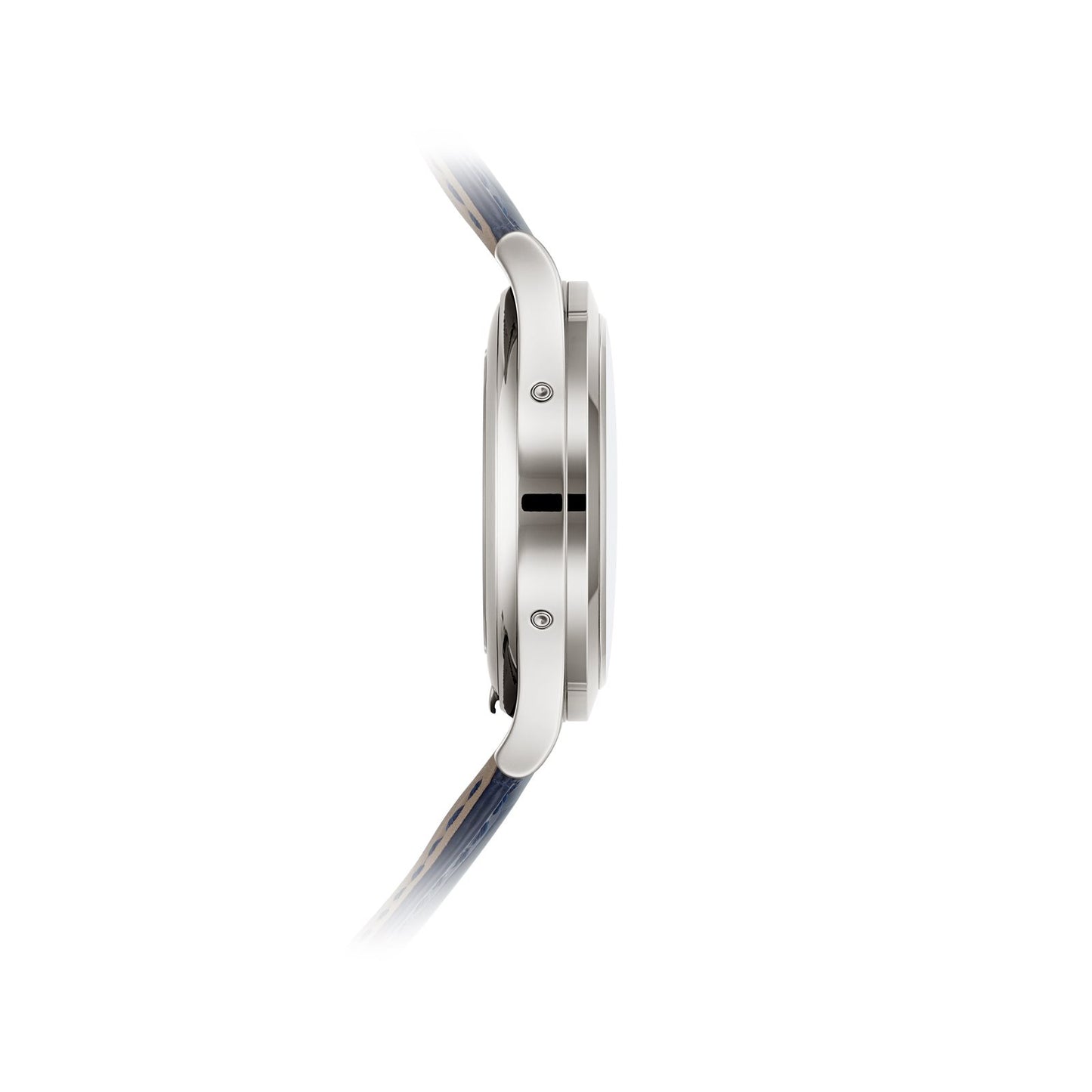 Patek Philippe Complications Watch