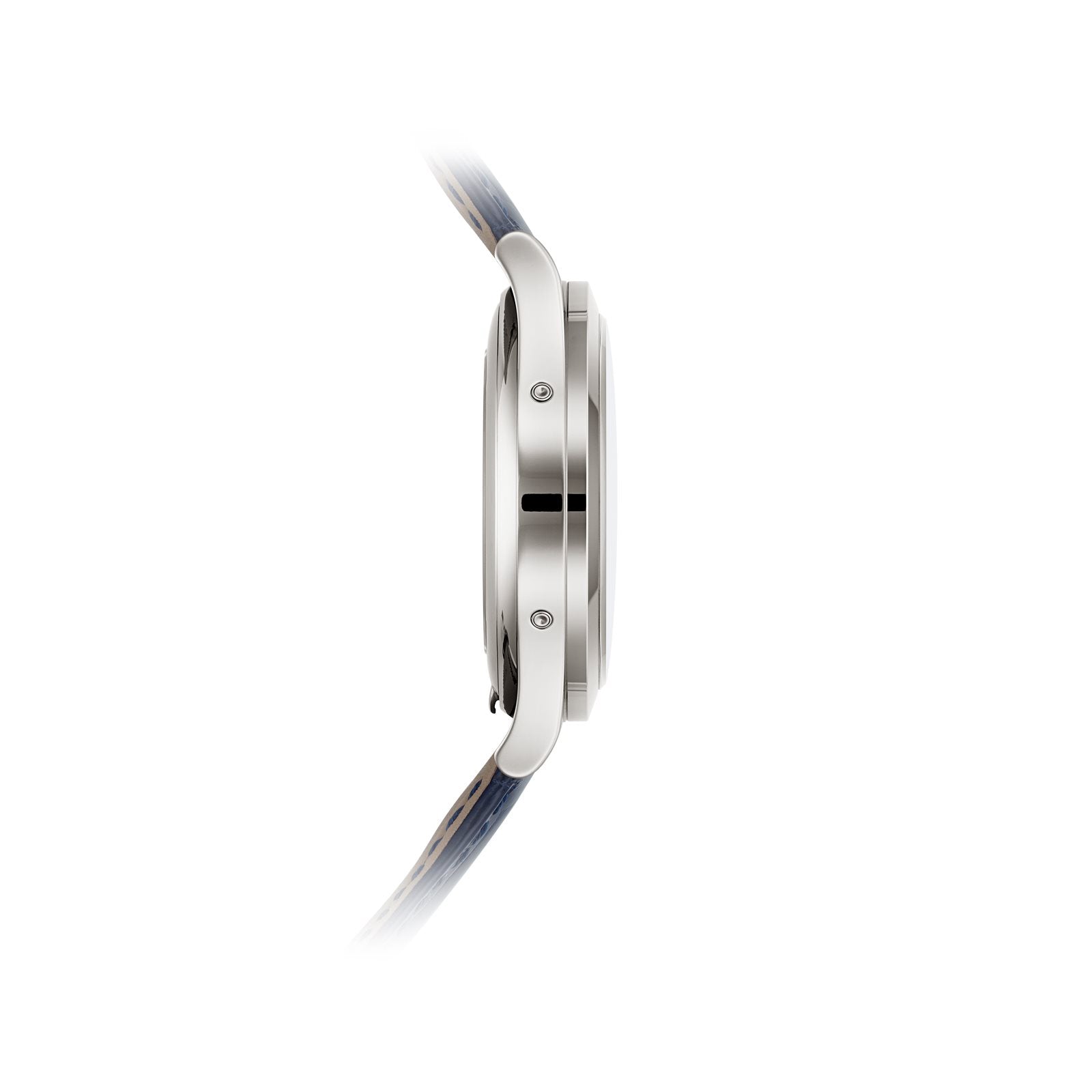 Patek Philippe Complications Watch