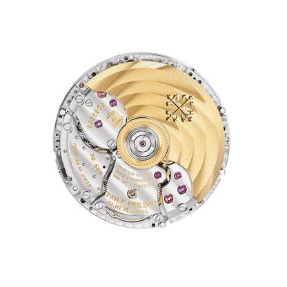 Patek Philippe Grand Complications Watch