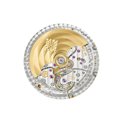 Patek Philippe Complications Watch