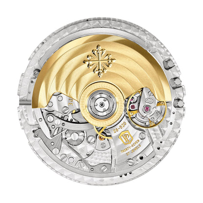 Patek Philippe Complications Watch