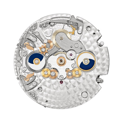 Patek Philippe Complications Watch