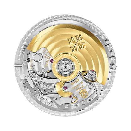 Patek Philippe Complications Watch