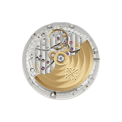 Patek Philippe Grand Complications Watch