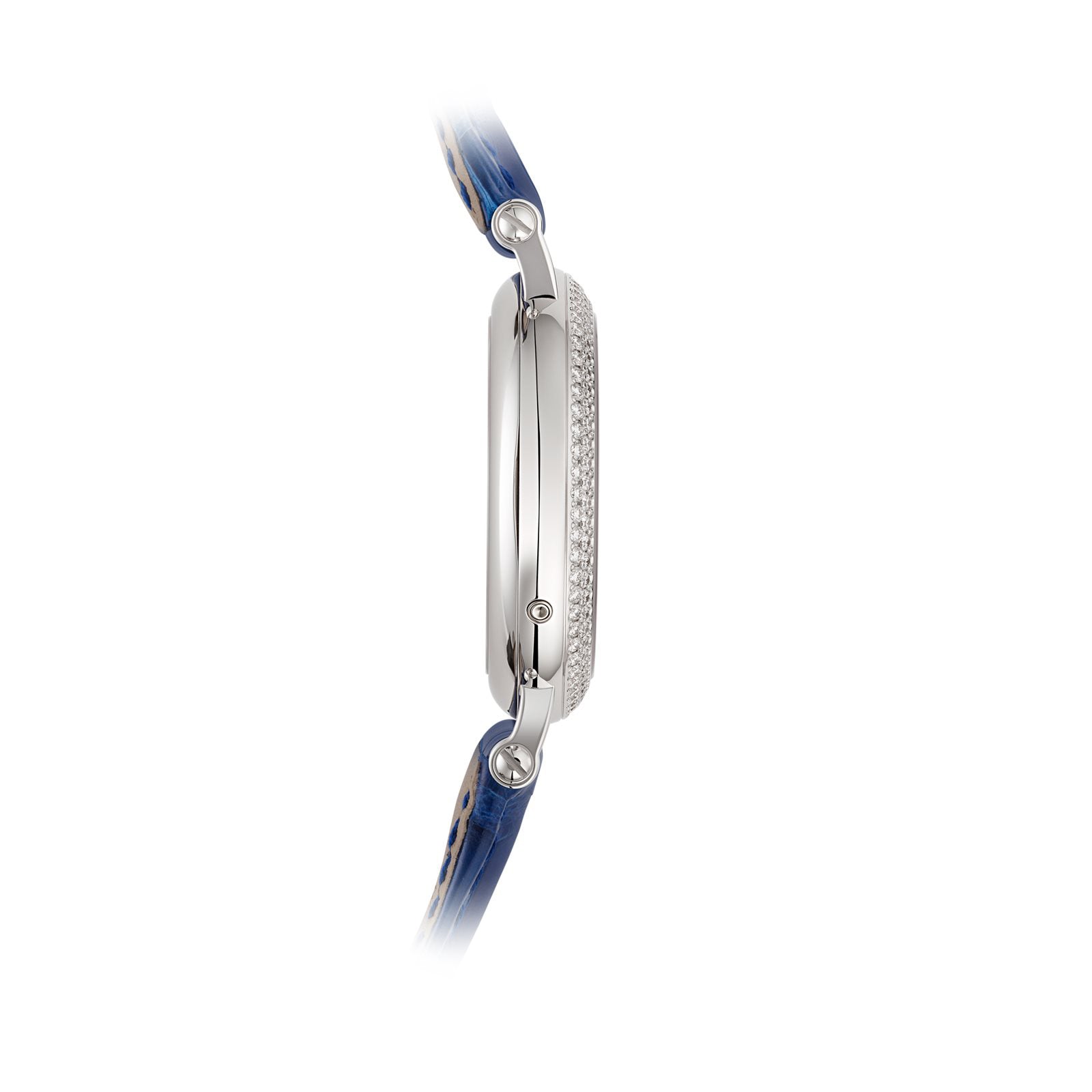 Patek Philippe Complications Watch