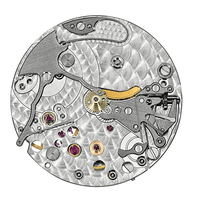 Patek Philippe Complications Watch