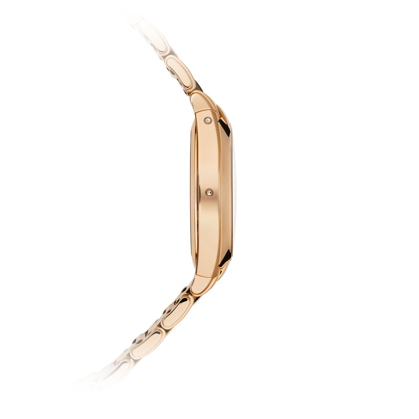 Patek Philippe Twenty~4 Watch