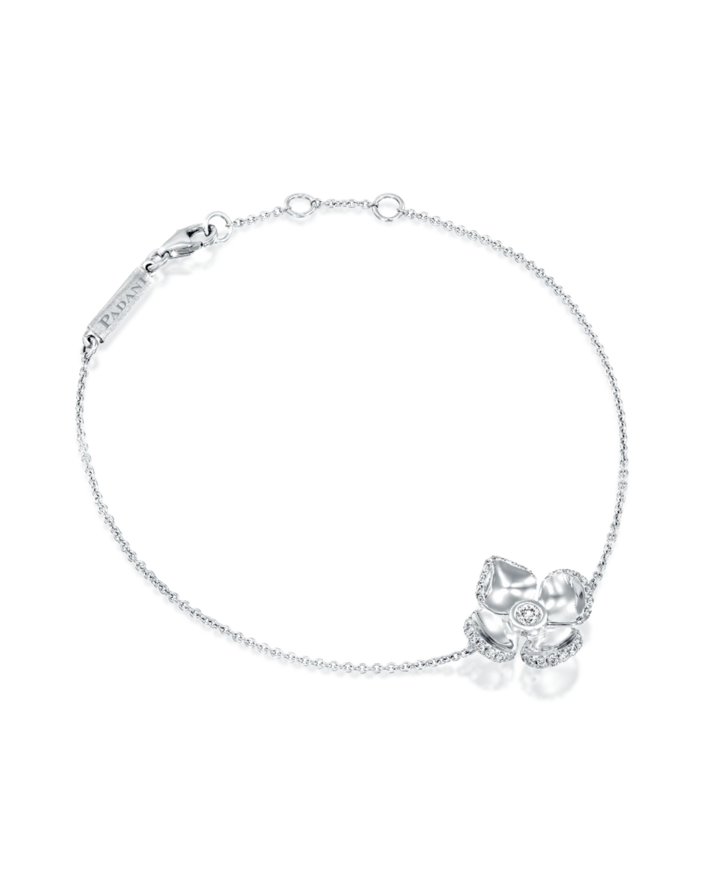 color: White Gold