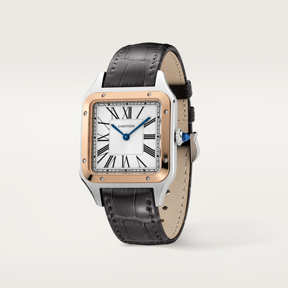 Santos-Dumont de Cartier watch