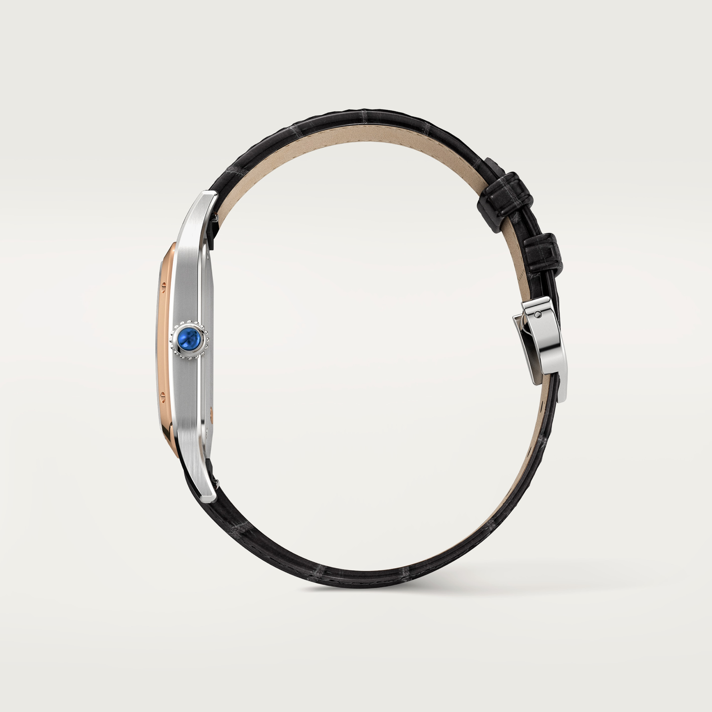 Santos-Dumont de Cartier watch