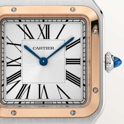 Santos-Dumont de Cartier watch