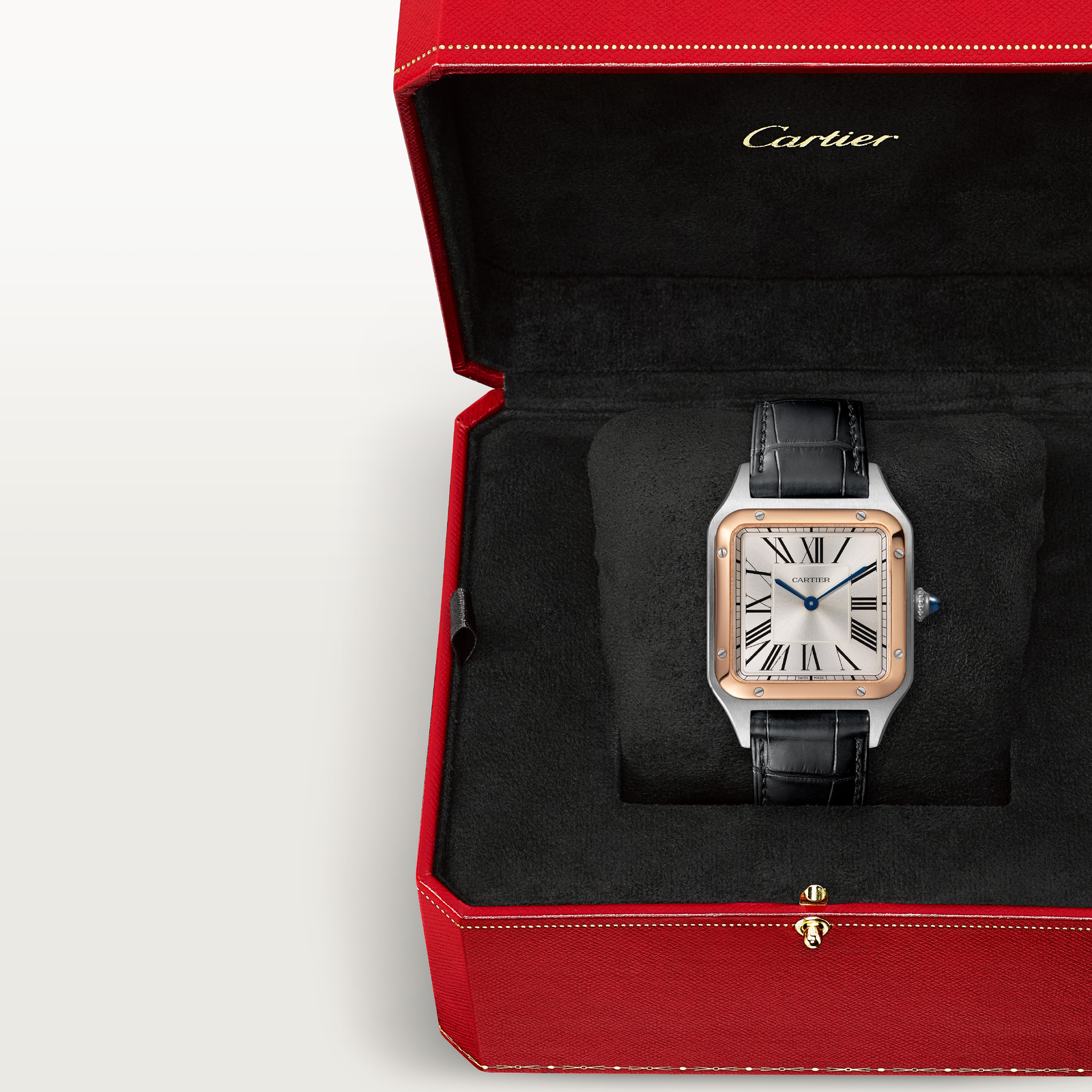 Santos-Dumont de Cartier watch