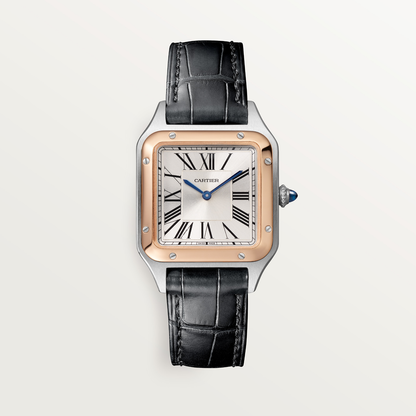 Santos-Dumont de Cartier watch