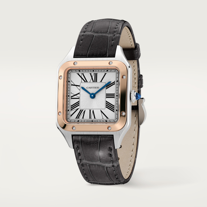 Santos-Dumont de Cartier watch