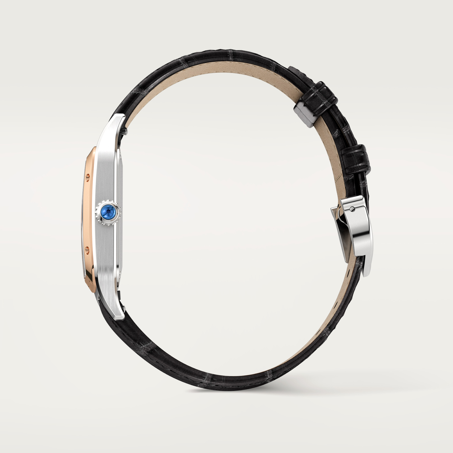 Santos-Dumont de Cartier watch