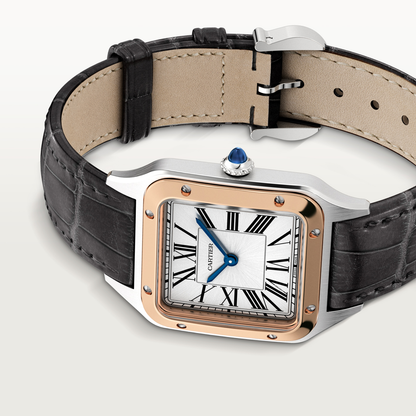 Santos-Dumont de Cartier watch