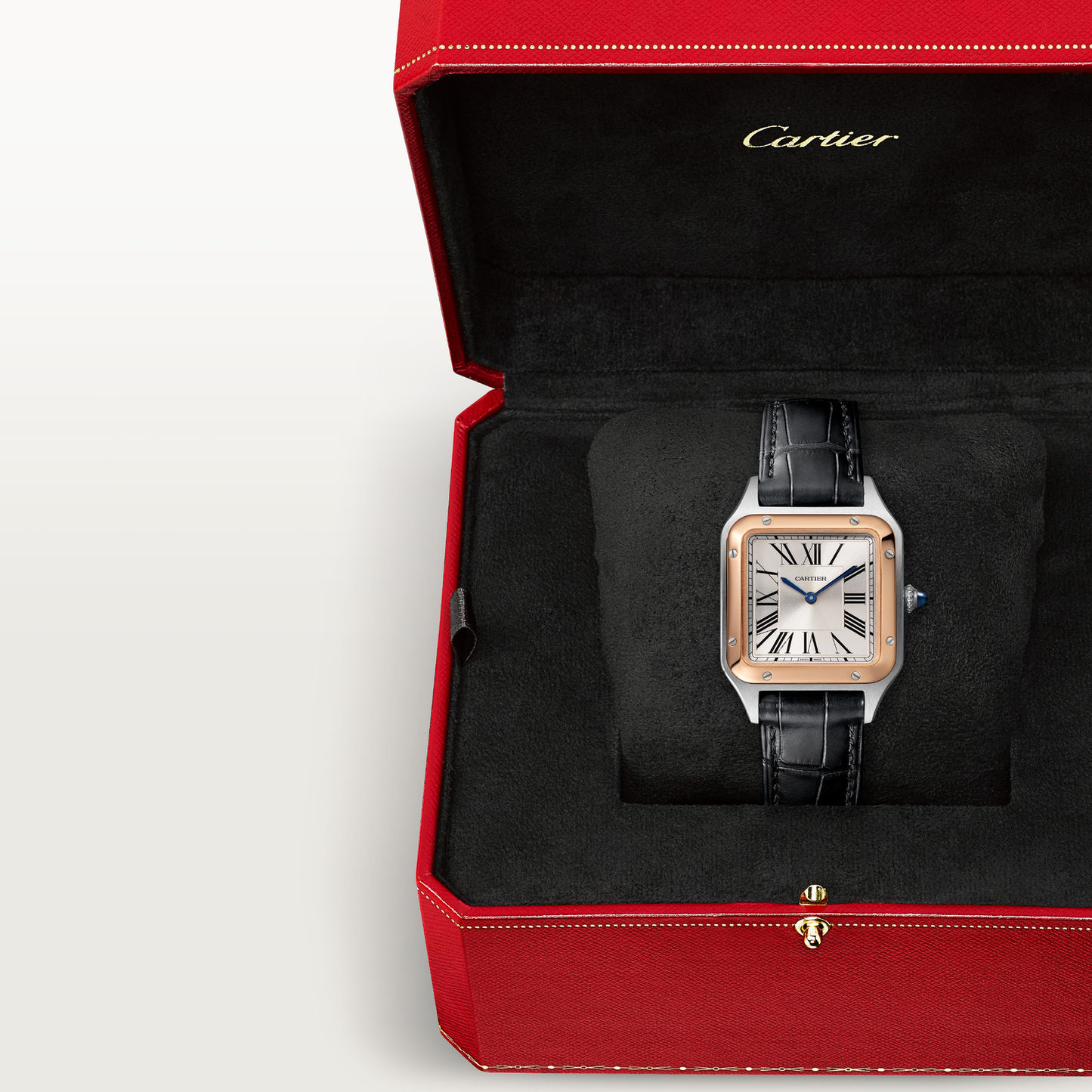 Santos-Dumont de Cartier watch