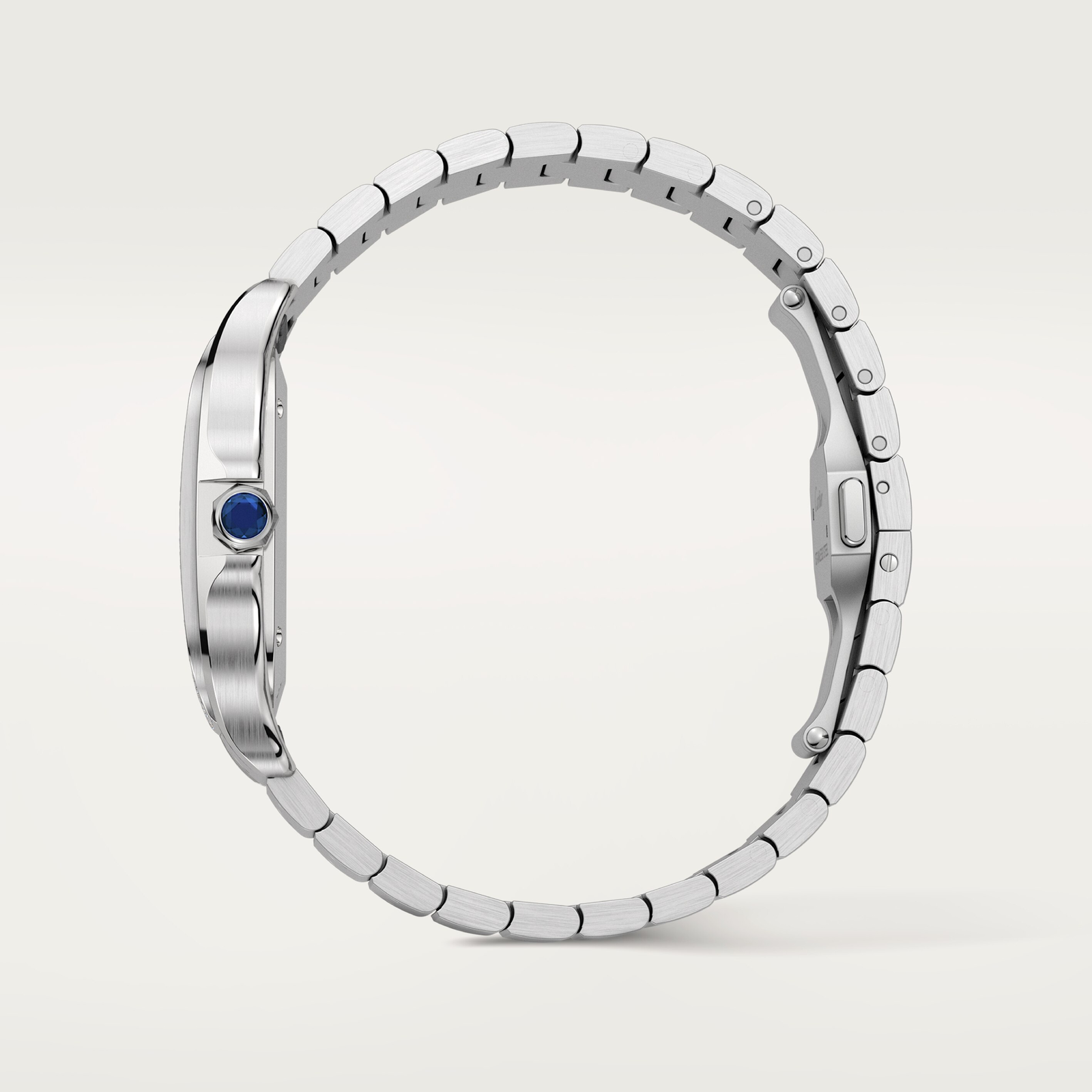 Santos de Cartier watch