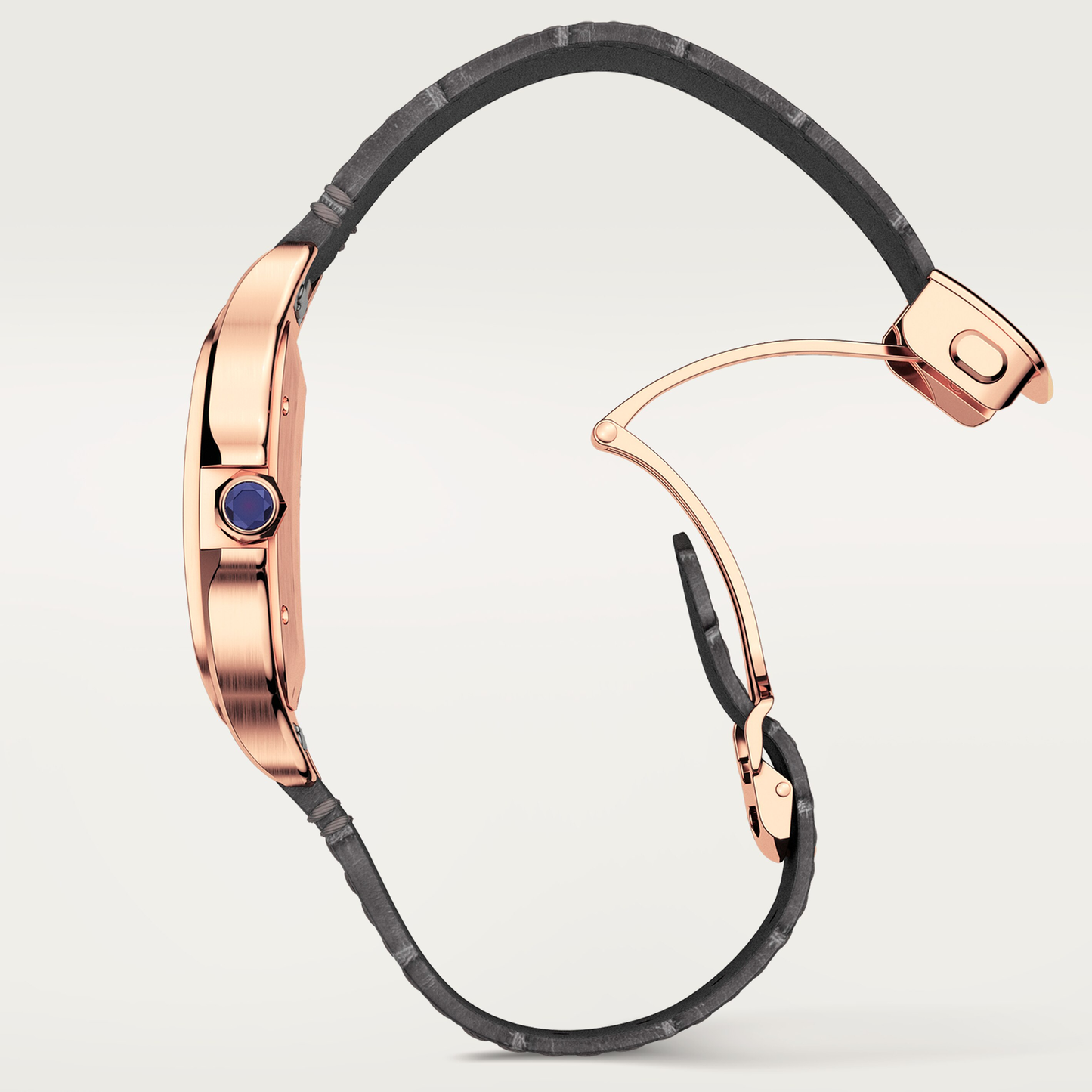 Santos de Cartier watch