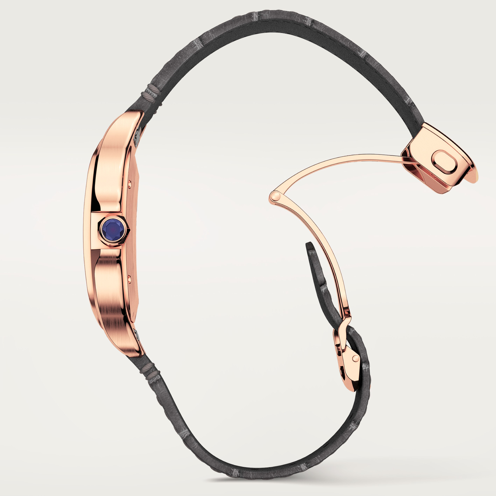 Santos de Cartier watch