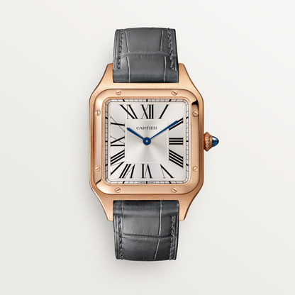 Santos-Dumont de Cartier watch