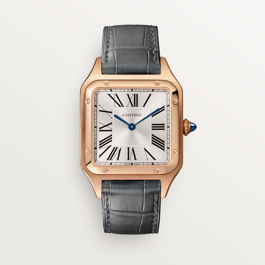 Santos-Dumont de Cartier watch
