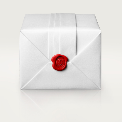 Santos-Dumont de Cartier watch