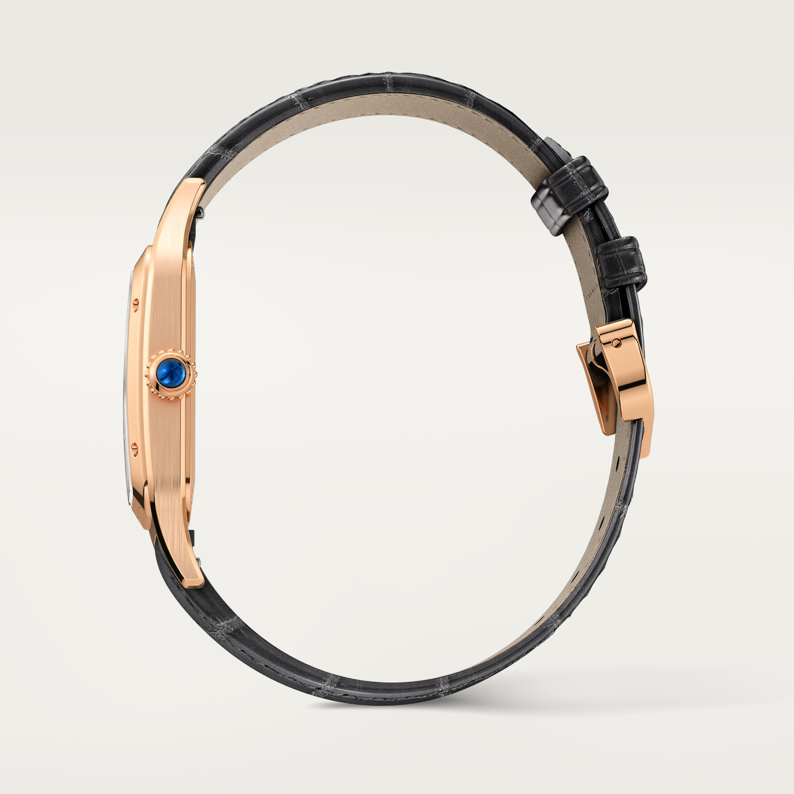 Santos-Dumont de Cartier watch