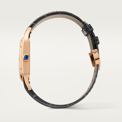 Santos-Dumont de Cartier watch