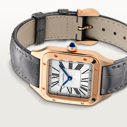 Santos-Dumont de Cartier watch