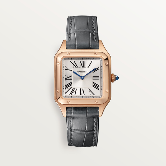 Santos-Dumont de Cartier watch