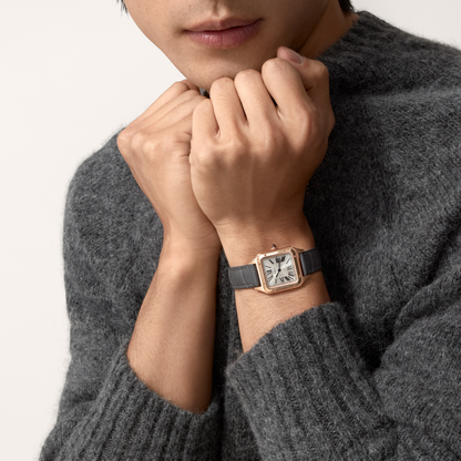 Santos-Dumont de Cartier watch