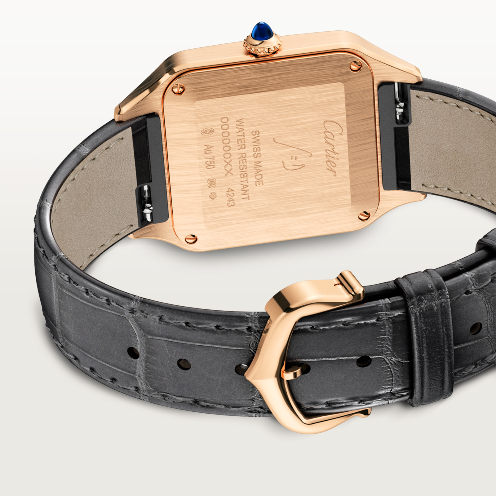 Santos-Dumont de Cartier watch