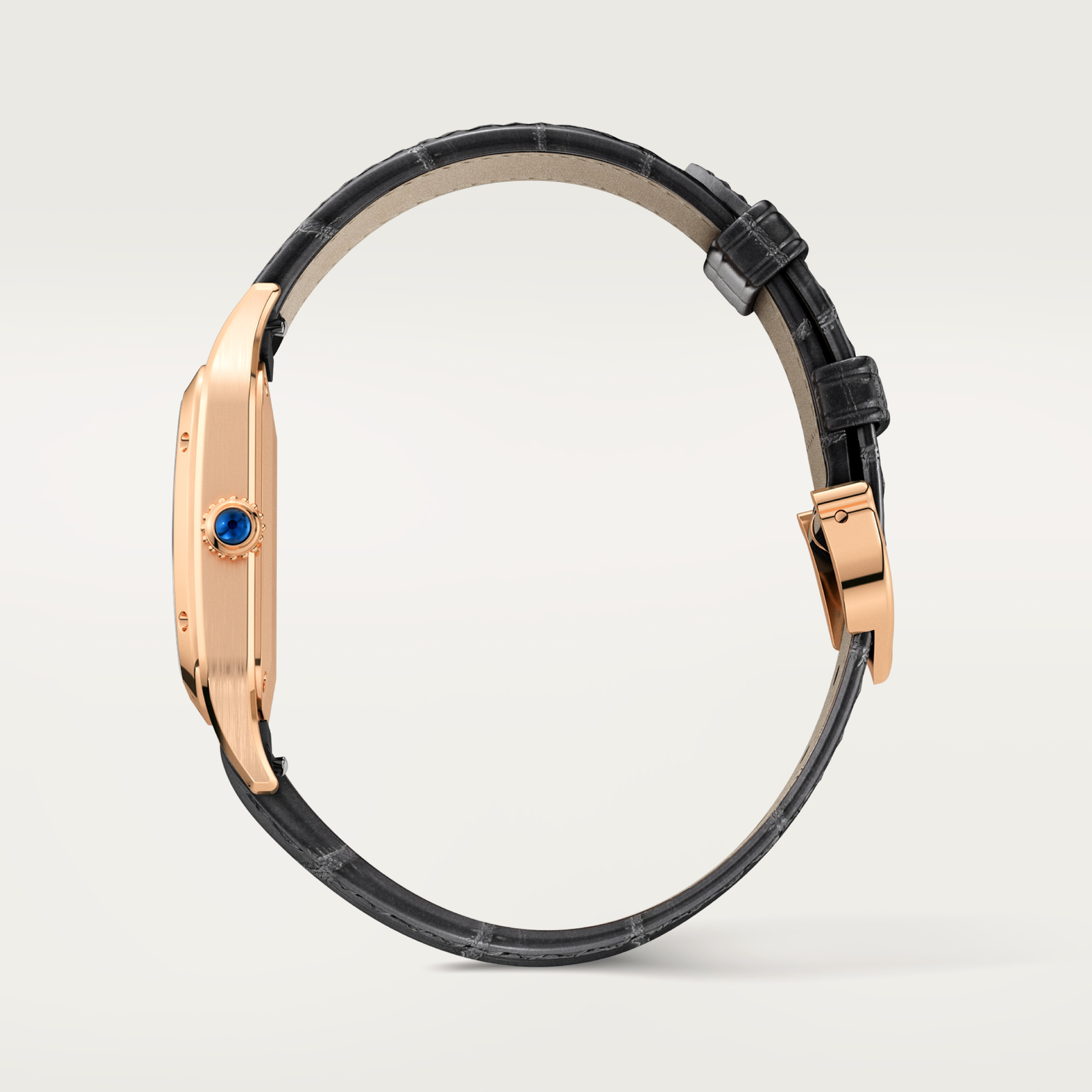 Santos-Dumont de Cartier watch