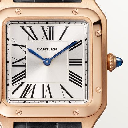 Santos-Dumont de Cartier watch