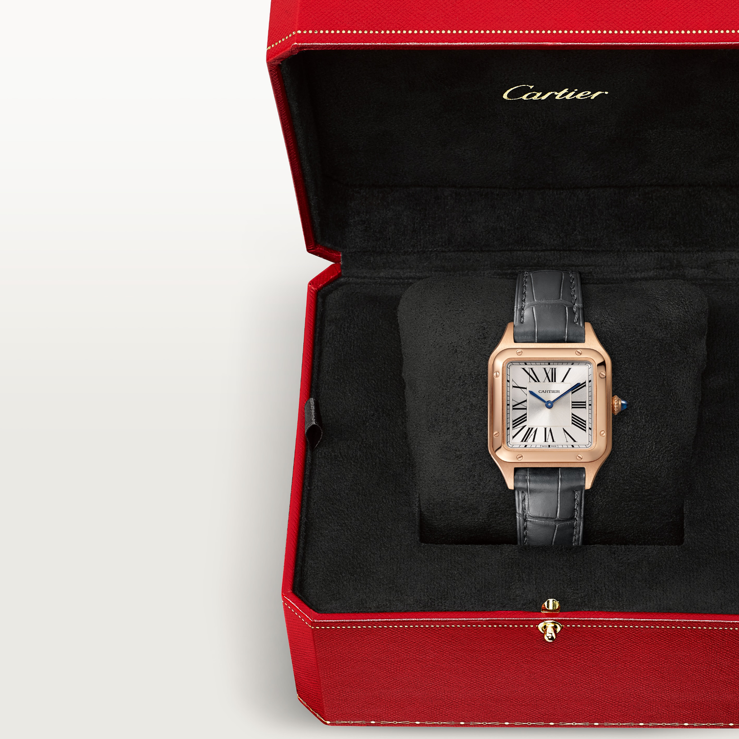 Santos-Dumont de Cartier watch