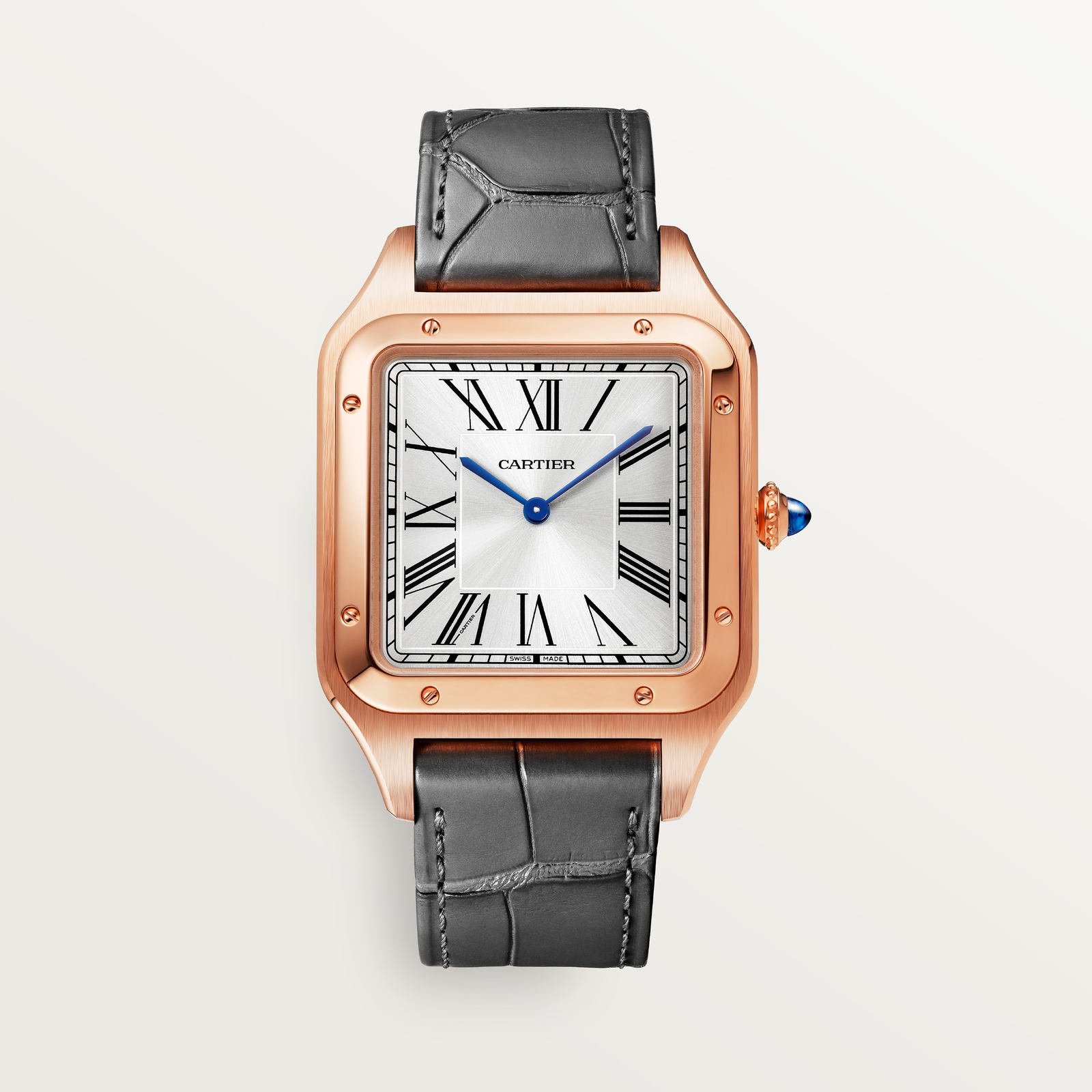 Santos-Dumont de Cartier watch