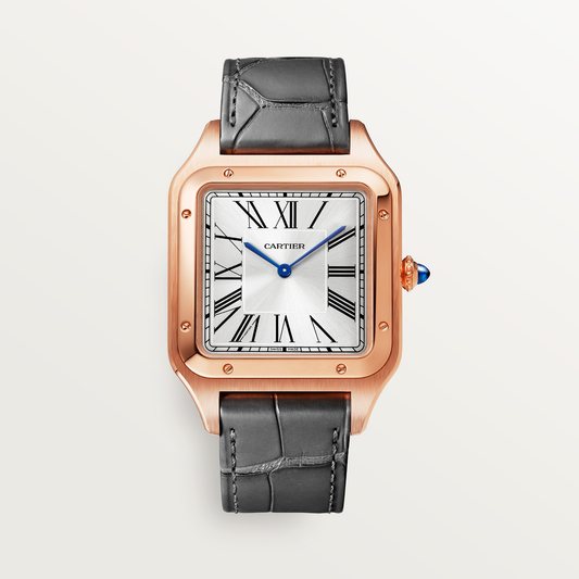 Santos-Dumont de Cartier watch