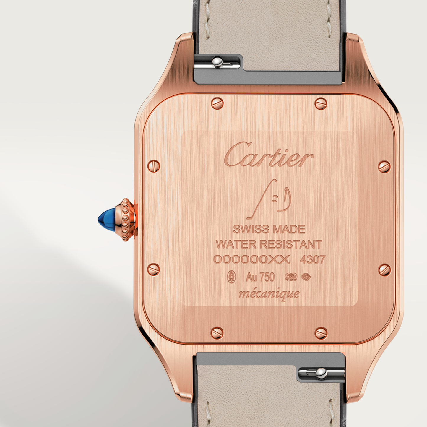 Santos-Dumont de Cartier watch