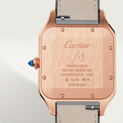 Santos-Dumont de Cartier watch