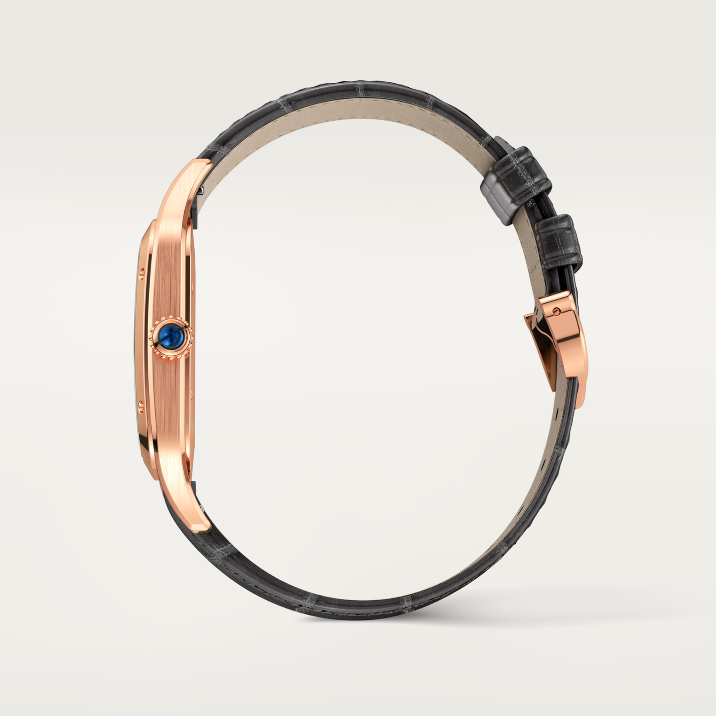 Santos-Dumont de Cartier watch