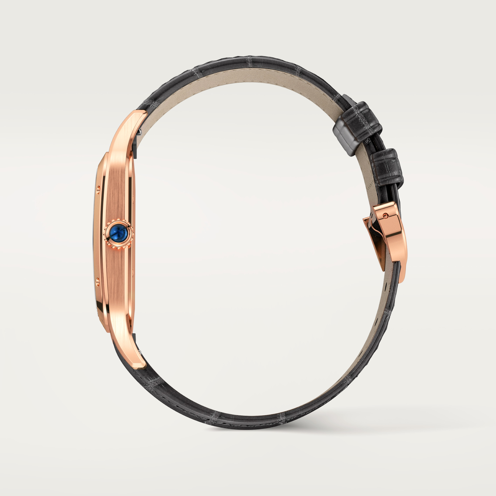 Santos-Dumont de Cartier watch