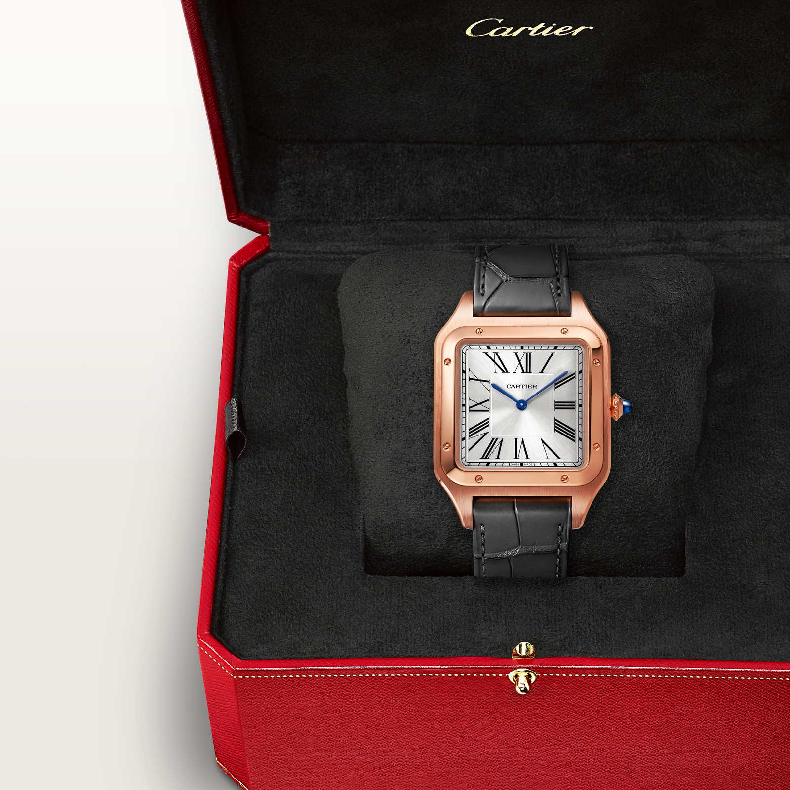 Santos-Dumont de Cartier watch