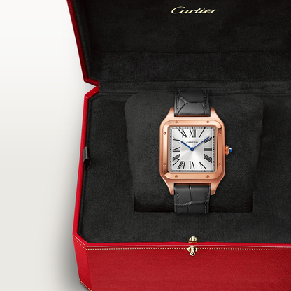 Santos-Dumont de Cartier watch